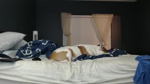 slimjp online show from February 7, 2:19 am