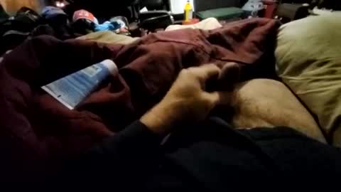 slitlicke69696969 online show from February 13, 7:30 pm