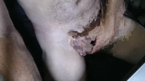 slyfast1 online show from April 26, 3:59 am