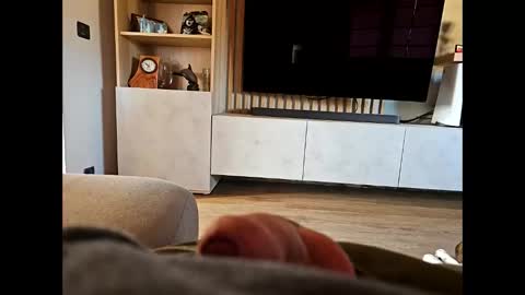 snake368 online show from January 21, 1:28 pm