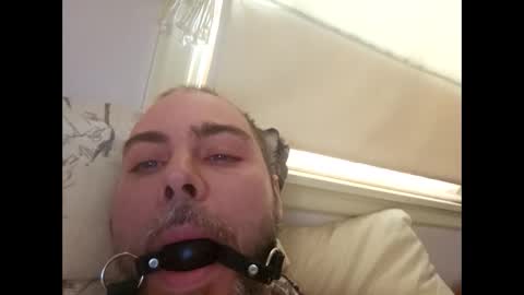 snarkymarks online show from December 17, 3:51 pm