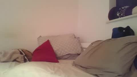 SoftPuppy online show from January 9, 10:37 pm