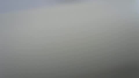 solitariodf2022 online show from January 19, 3:36 pm