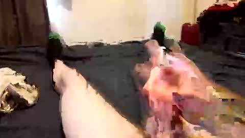 somers87 online show from March 15, 2:34 pm