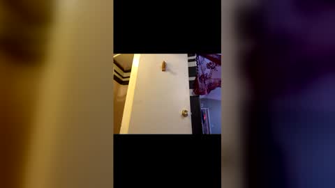 spermdoner23 online show from December 4, 4:58 pm