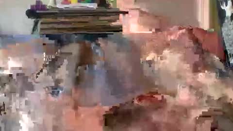 srekos38 online show from May 25, 4:02 pm