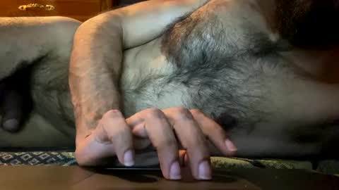 Lobo del Antiguo Oriente online show from April 11, 7:45 am