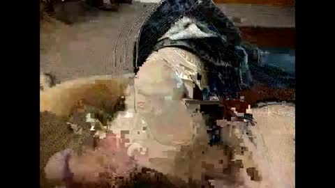 steg333 online show from January 16, 4:49 am