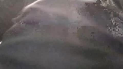 Oval2022 online show from December 4, 11:50 am