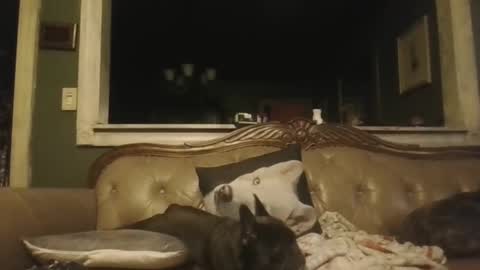 sub_michael41 online show from November 7, 5:33 am