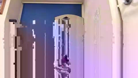 suckcockyh online show from April 18, 8:09 pm