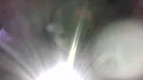 swampdonkey419 online show from March 2, 6:03 am