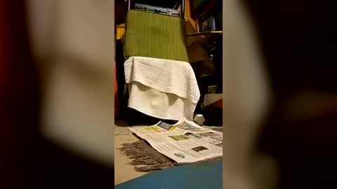 syevecrl online show from July 2, 7:47 am