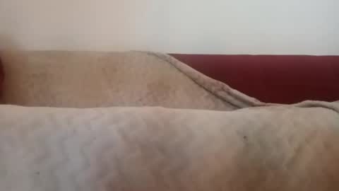 Snapshot of tasteonsex chatting on January 6, 11:42 pm ass to fuck online show from January 6, 11:42 pm