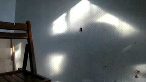 tec0vas online show from December 30, 8:25 pm