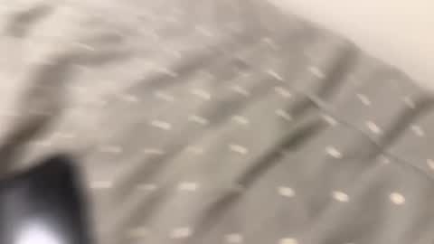 telecasted93 online show from September 28, 2:53 am