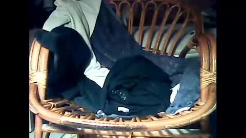 Snapshot of telecommandedu26 chatting on February 13, 10:55 am telecommandedu26 online show from February 13, 10:55 am