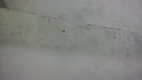 thebestamant online show from September 24, 11:03 pm