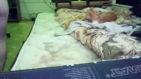 theepussypirate online show from March 1, 11:21 am