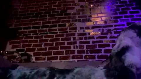 THE DIP online show from November 9, 12:20 pm