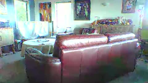 Thickcockat71 online show from November 10, 6:46 pm