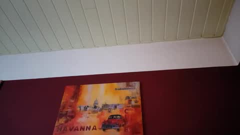 timschmidt112021 online show from March 27, 5:55 am