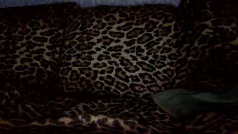 tmhard online show from December 6, 11:33 am