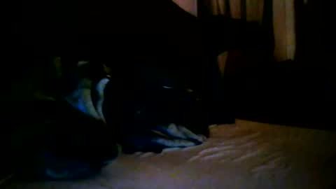 tommy mackz online show from March 2, 5:08 am