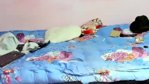 Snapshot of tommy_sex79 chatting on February 1, 1:23 am tommy sex79 online show from February 1, 1:23 am