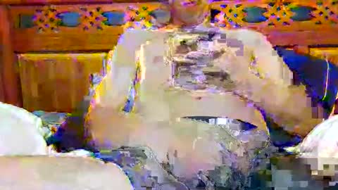 tomygolden online show from November 28, 3:32 am