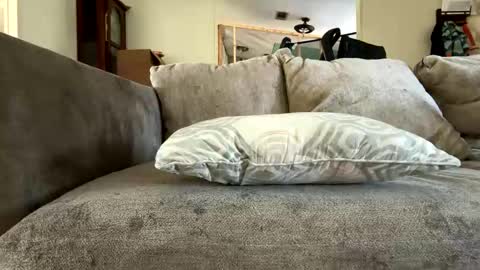 toronto5656 online show from November 9, 2:32 pm