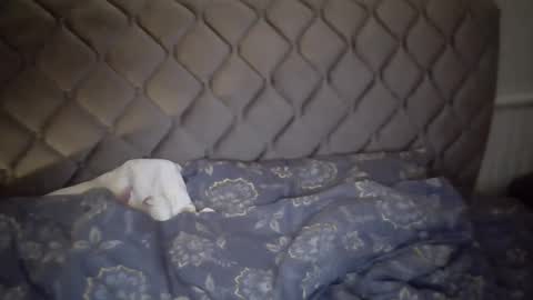 torrino12 online show from January 6, 3:20 am