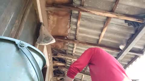 Tralalabala online show from March 5, 12:01 pm