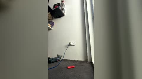 tripz8924 online show from June 15, 5:54 am