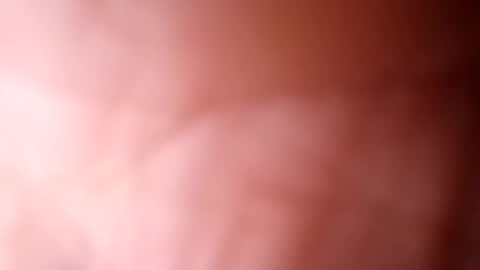 tudodom online show from October 1, 1:53 am