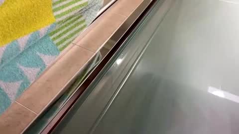 tug65 online show from March 22, 2:55 pm