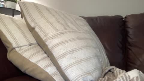 ty223222 online show from March 5, 4:02 pm