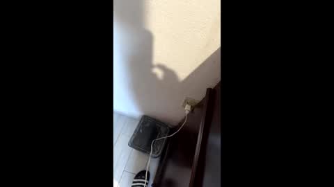 uesus online show from January 12, 6:12 pm