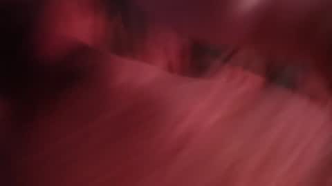 uncutcook online show from February 27, 8:17 am