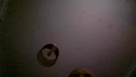 uplatenhorny2379 online show from December 16, 2:02 pm