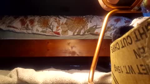 useme975 online show from January 26, 8:13 pm