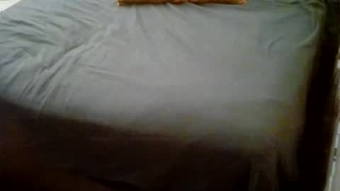 Usagi online show from January 18, 12:45 am