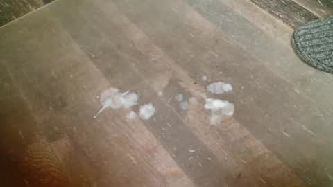 Tom online show from November 13, 1:16 pm