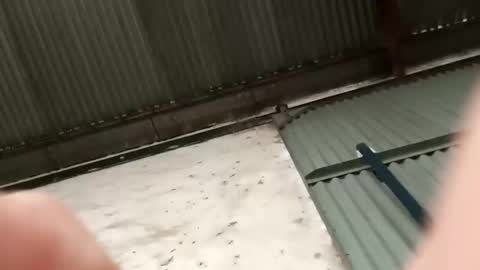 verdugo_32 online show from March 30, 1:34 pm