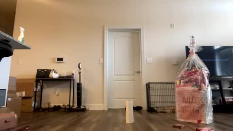 victoryd007 online show from February 22, 7:21 pm