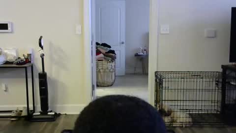 victoryd007 online show from January 16, 9:30 pm