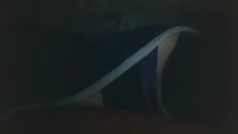 vicvictoree online show from February 17, 5:17 am