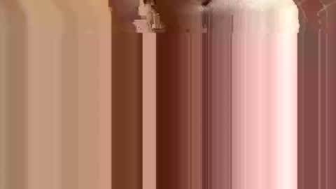 Vikinyourpuss online show from November 17, 7:50 pm