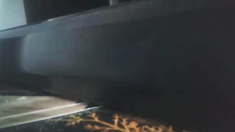 vip_90_daniele online show from December 17, 10:55 am