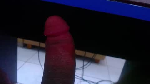 wellingtont online show from February 16, 1:09 pm